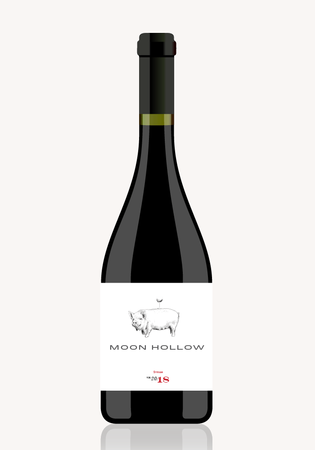 Moon Hollow Syrah 2020