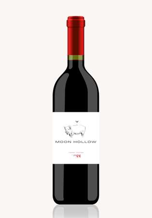 Moon Hollow Cabernet Sauvignon 2021