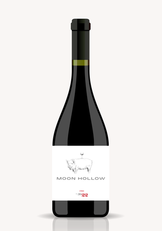 2022 Moon Hollow Syrah